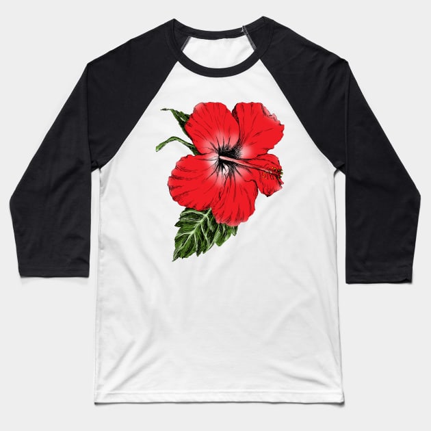 Hibiscus Image Baseball T-Shirt by rachelsfinelines